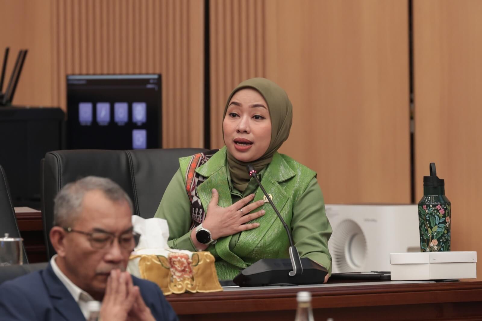 Bencana Berulang, DPR Desak Moratorium Izin di DAS Kritis