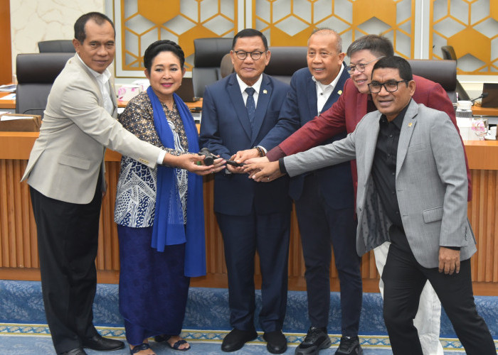 Hanan Resmi Jadi Wakil Ketua Komisi IV DPR, Gantikan Panggah Susanto