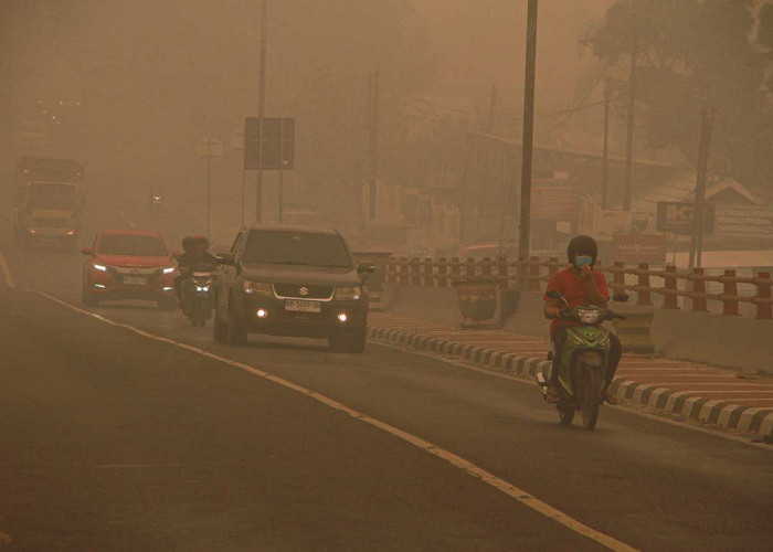 Karhutla Tak Kunjung Padam, GBN Desak Status Bencana Nasional