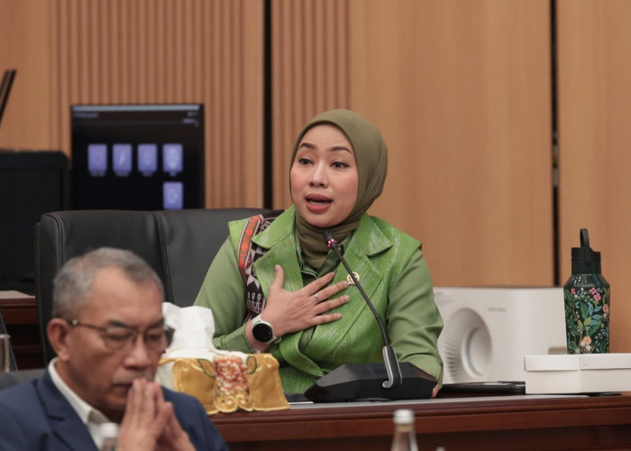 Bencana Berulang, DPR Desak Moratorium Izin di DAS Kritis