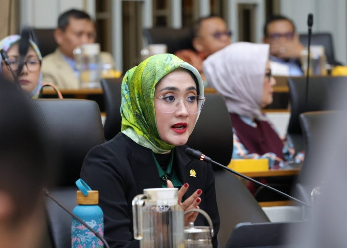 Usut Tuntas Pelaku Karhutla