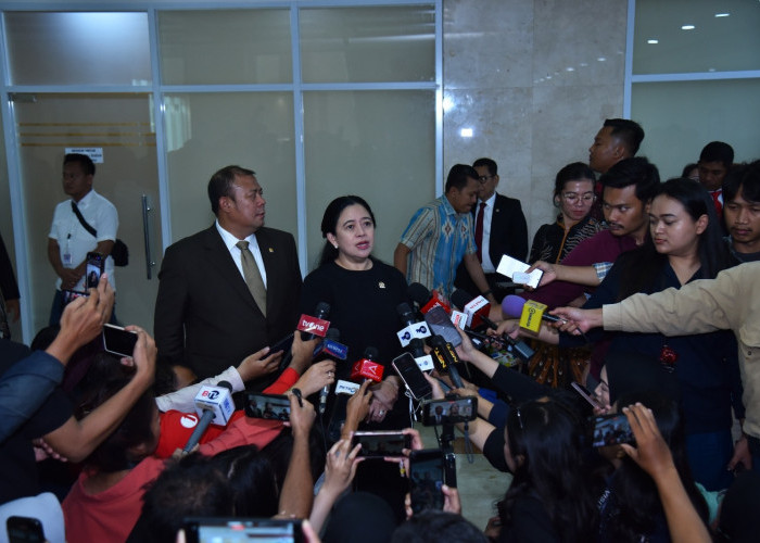 Pasien Karhutla Melonjak, Puan Desak RS Diperkuat