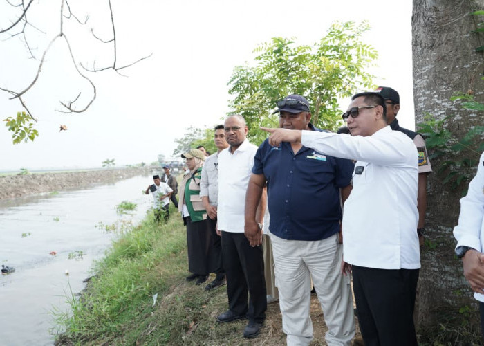 Kekeringan Ancam Sawah Pebayuran, Normalisasi BKG Dikebut: 1 Bulan Ditarget Tuntas