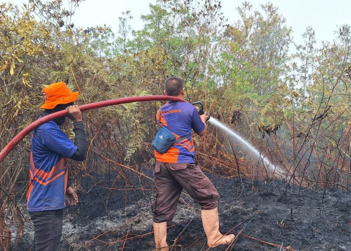 372 Hotspot Terdeteksi, Kalteng Tertinggi dengan 130 Titik Api